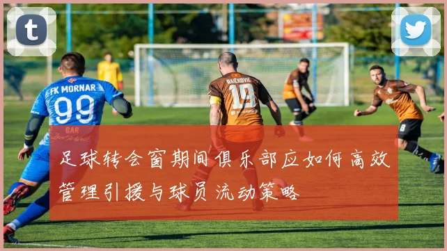 足球转会窗期间俱乐部应如何高效管理引援与球员流动策略